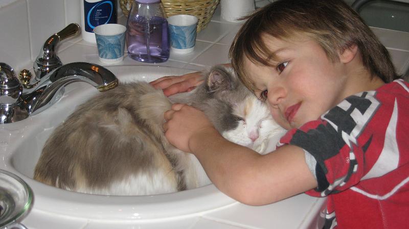 IMG_0819.JPG - Chay loving Katy (the cat)... yes, she's in the sink