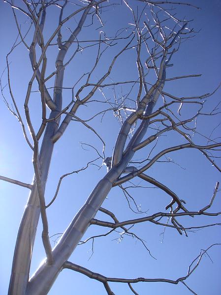 PICT0002.JPG - Metal Tree