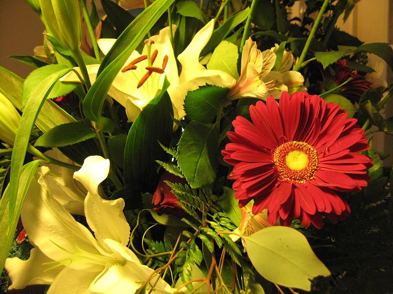 IMG_0248.JPG - fantastic!