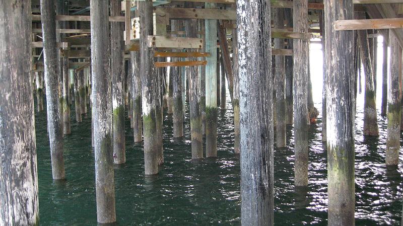 IMG_0449.JPG - Under the board walk ...