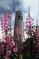 San_Francisco_Coit_tower